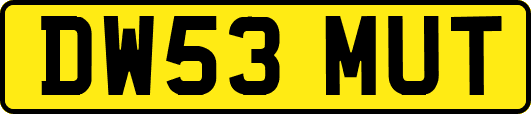 DW53MUT