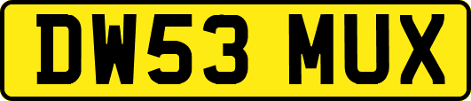 DW53MUX