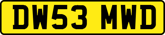 DW53MWD