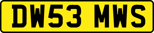 DW53MWS
