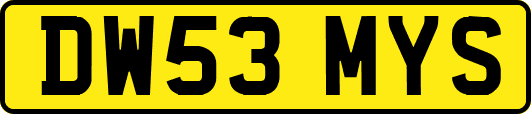 DW53MYS