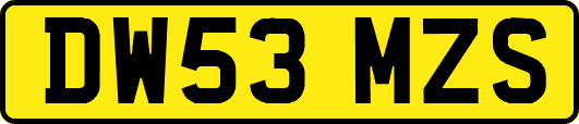 DW53MZS