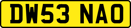 DW53NAO
