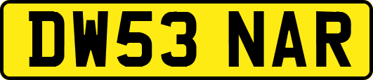 DW53NAR