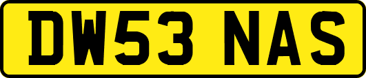 DW53NAS