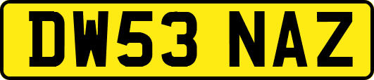DW53NAZ