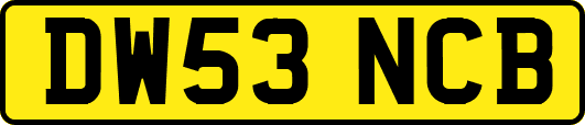 DW53NCB