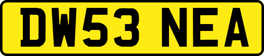 DW53NEA