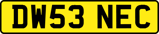 DW53NEC