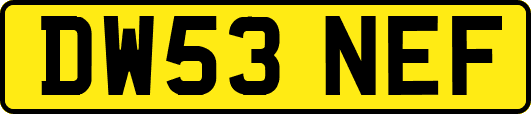 DW53NEF