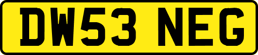 DW53NEG