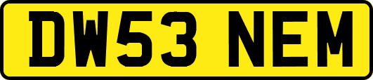 DW53NEM