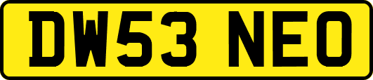 DW53NEO