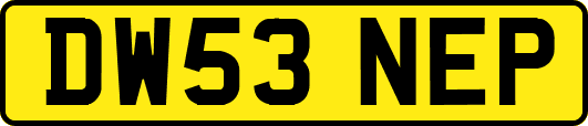 DW53NEP