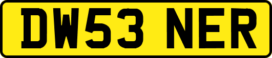 DW53NER