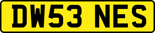 DW53NES