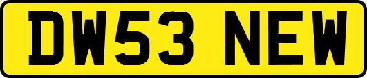 DW53NEW