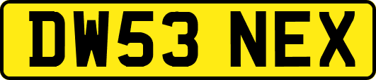 DW53NEX