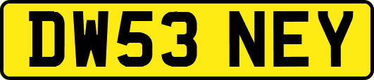 DW53NEY