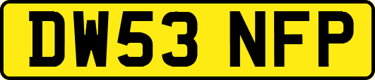 DW53NFP