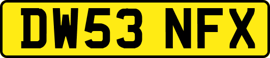 DW53NFX