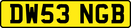 DW53NGB