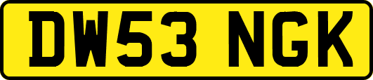 DW53NGK