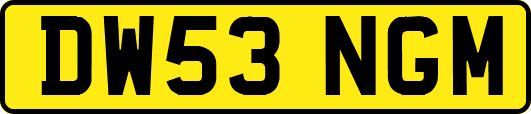 DW53NGM
