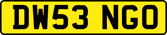 DW53NGO