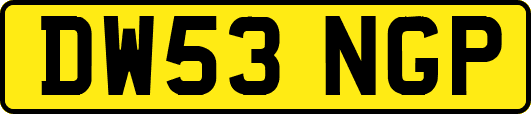 DW53NGP