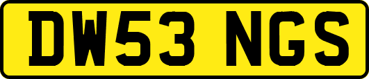 DW53NGS