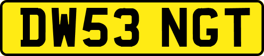 DW53NGT