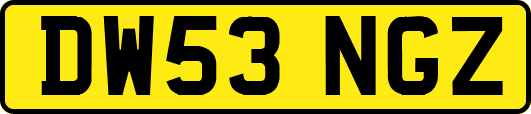 DW53NGZ