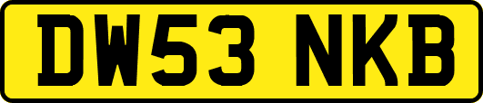 DW53NKB