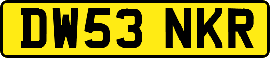 DW53NKR