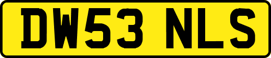 DW53NLS