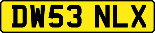 DW53NLX