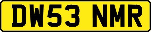 DW53NMR