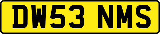 DW53NMS