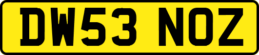 DW53NOZ