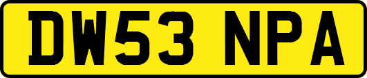 DW53NPA