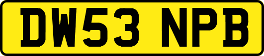 DW53NPB