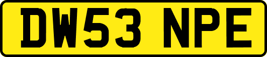 DW53NPE
