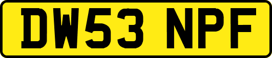 DW53NPF