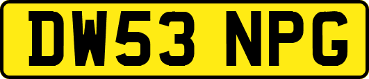 DW53NPG