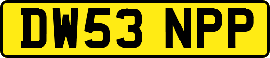 DW53NPP