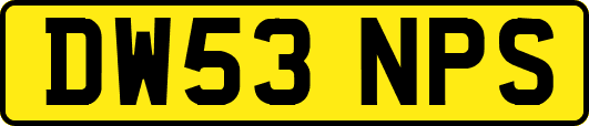 DW53NPS