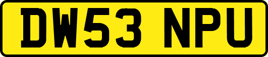 DW53NPU