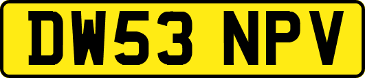 DW53NPV