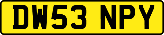 DW53NPY
